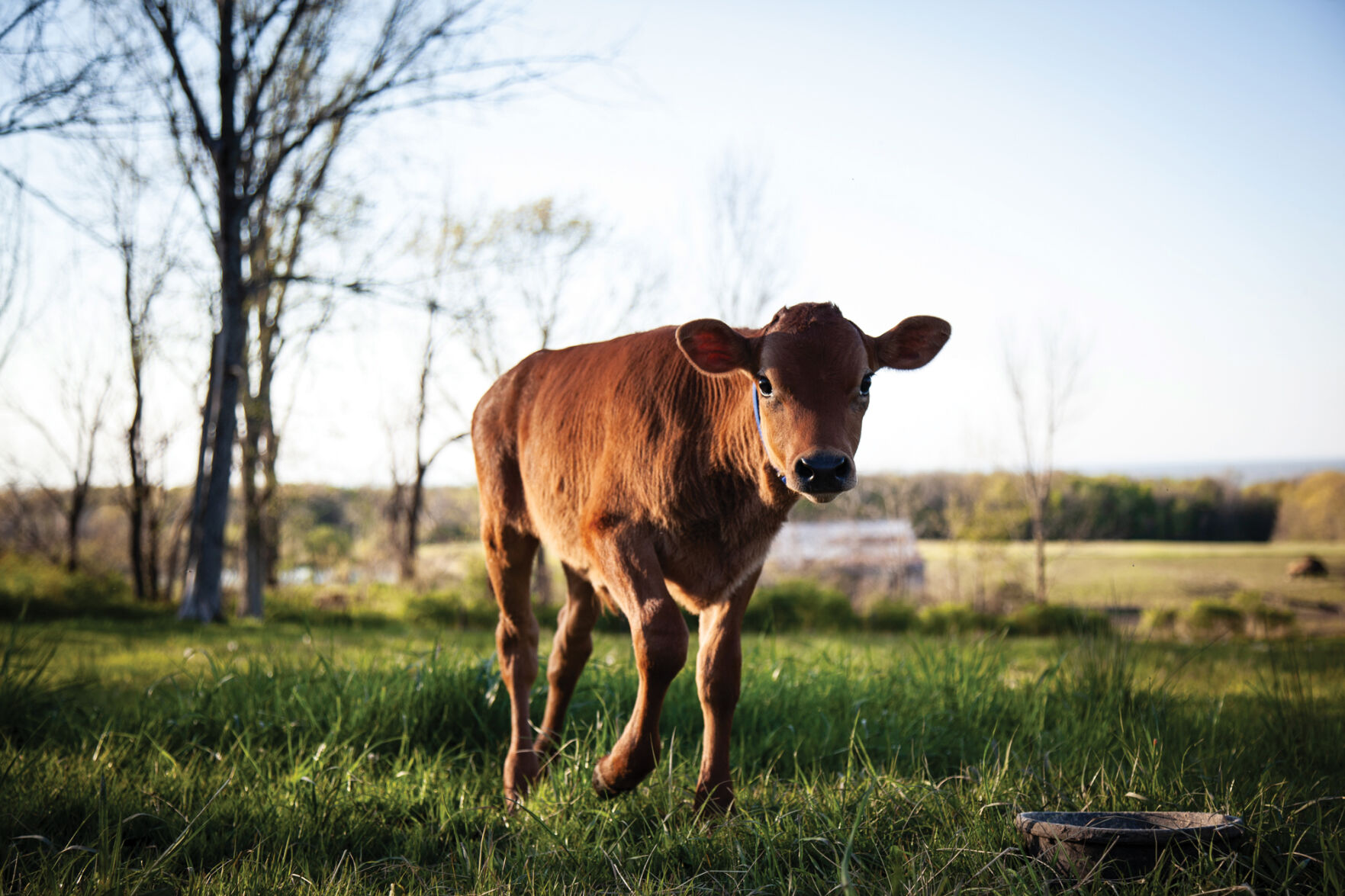 BannerFarm_ericfrick-110.jpg